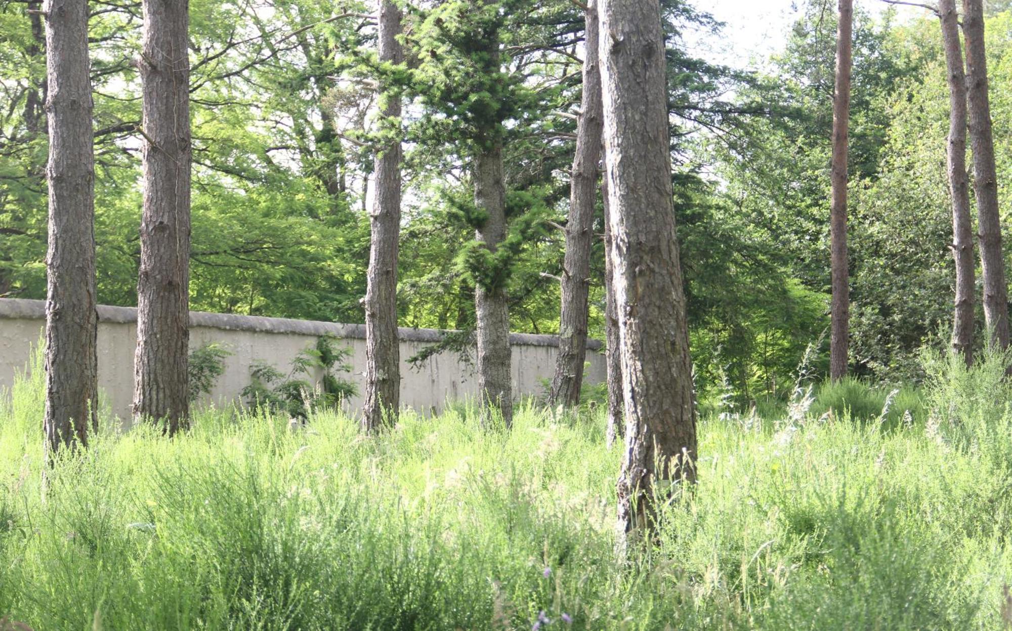 Villa Le Refuge De Chambord Thoury Exterior foto
